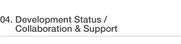 Development Status